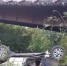 arkscueg8n4 - Водитель Toyota Land Cruiser пострадал в ДТП в Бодайбинском районе - Bodaybo.Irk.Today