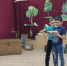 Летние площадки - Краеведческий музей им. В.Ф. Верещагина